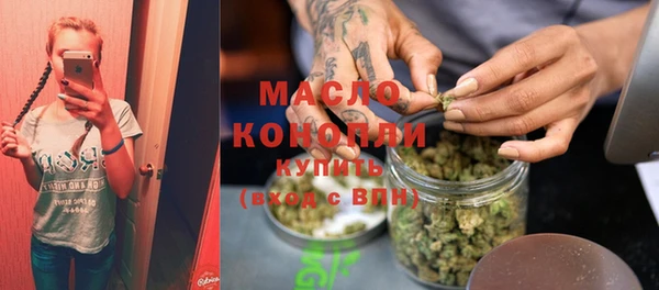 прущий лед Новозыбков