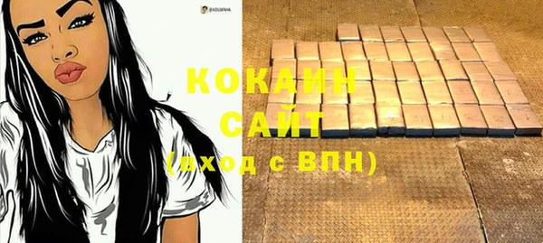 прущий лед Новозыбков