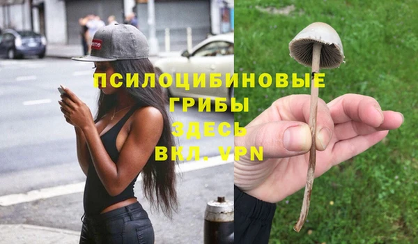 прущий лед Новозыбков