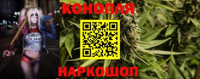 шишки Берёзовский