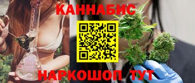 мдпв Гусев