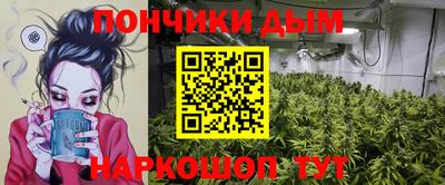 шишки Берёзовский