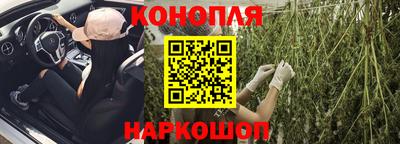 мдпв Гусев