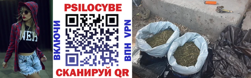 даркнет сайт  Набережные Челны  Псилоцибиновые грибы Psilocybine cubensis 