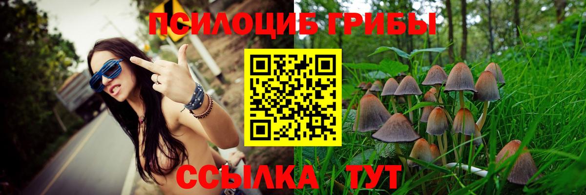 Галлюциногенные грибы Psilocybe  Псилоцибиновые грибы Magic Shrooms  купить наркоту  Вход с VPN  Набережные Челны 