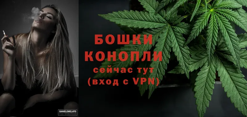 Каннабис OG Kush  Набережные Челны 